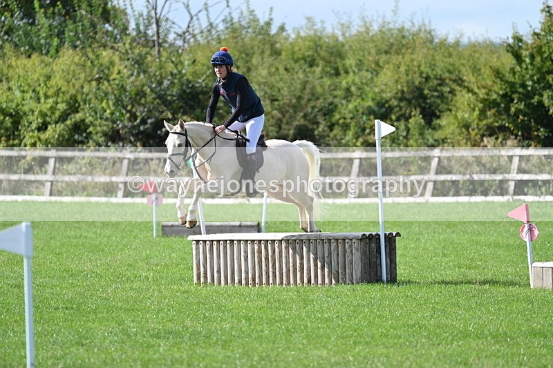 WJ7_8592 - 60cm Pairs