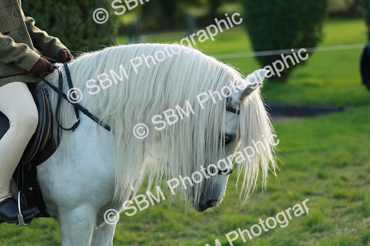 SBM_28791 - S7 - Novice & Newcomer Ridden Pony