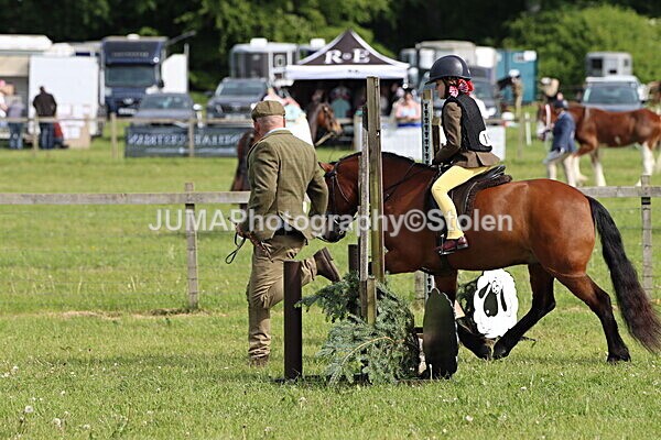IMG_2176 - Working Hunter