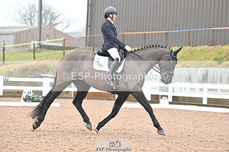 250215-133059-03875 - 165-Elder.Klatzko-Dynasty.Hit