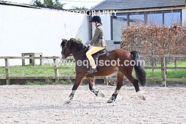 BPP_7639 - RING 1  (RIDDEN HORSES / IN HAND / VETERAN ETC)