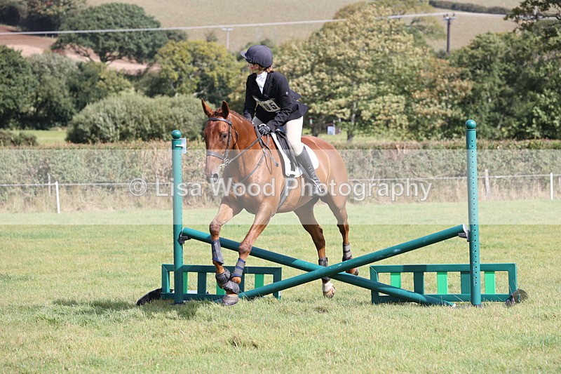 JPP_8651 - Class 2: Trekenning: 80cm Showjumping