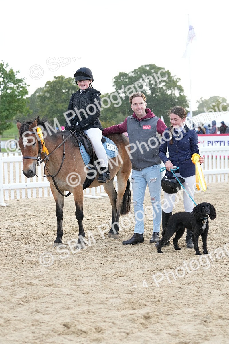 SBM_29224 - J43 - Horse & Hound Open 50cm