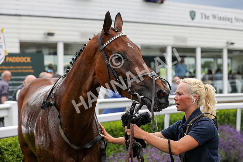 240724-Race 6-One Of Our Own-3747