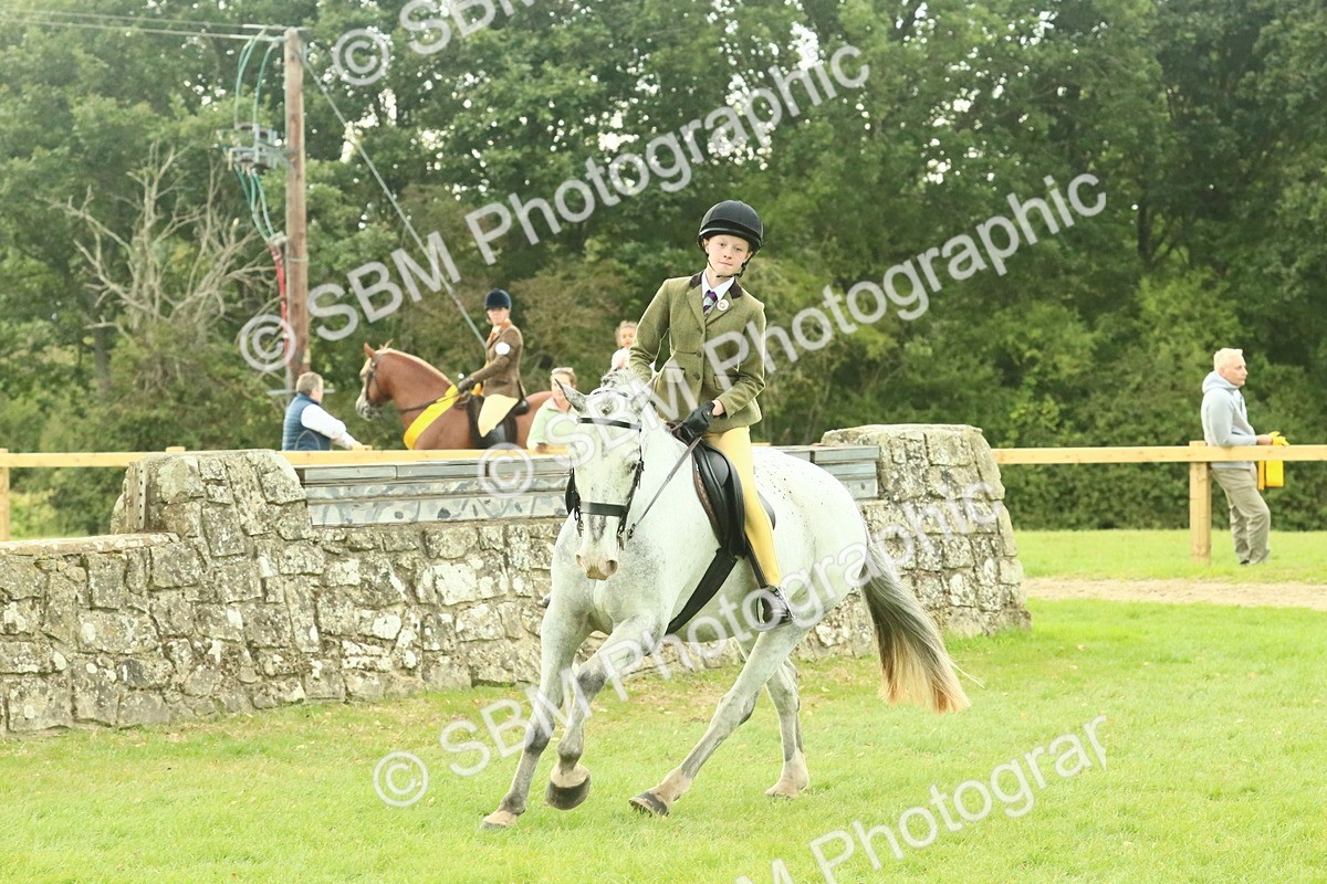 SBM_74062 - S 61 - Show Pony & Show Hunter Pony Ridden