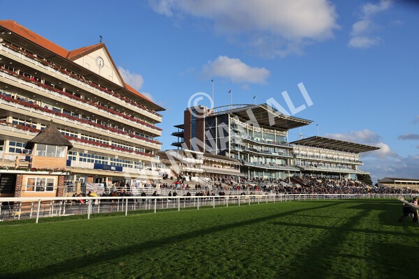 yr07102022r7-19 - Race 7 5.35pm IRE Incentive, It Pays To Buy Irish Stakes