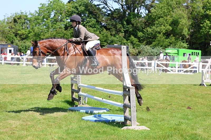 3E7A6961 - Class 30: Novice Working Hunter