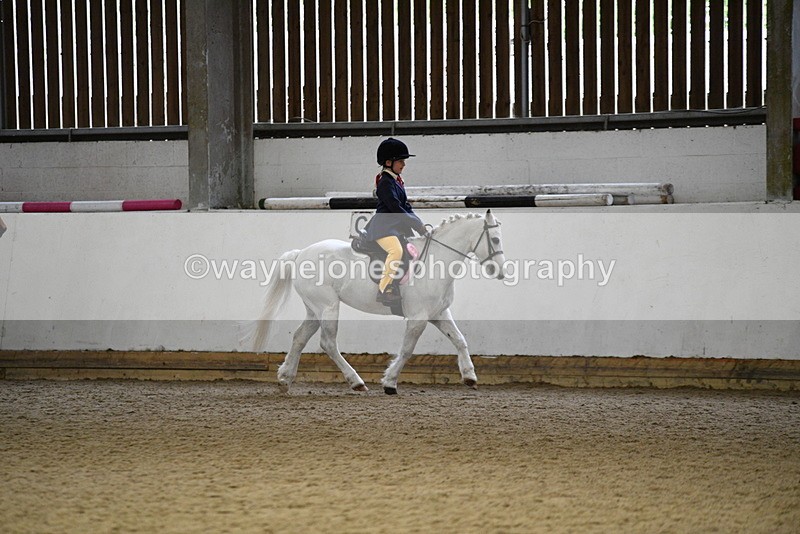 WJ5_7413 - Class 11 Ridden PC - RC Pony