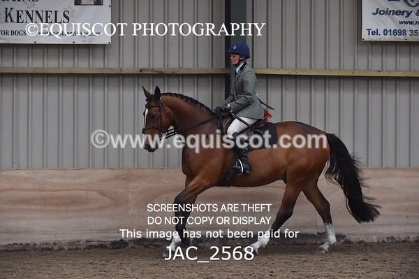 JAC_2568 - CLASS 3 Intermediate Working Hunter