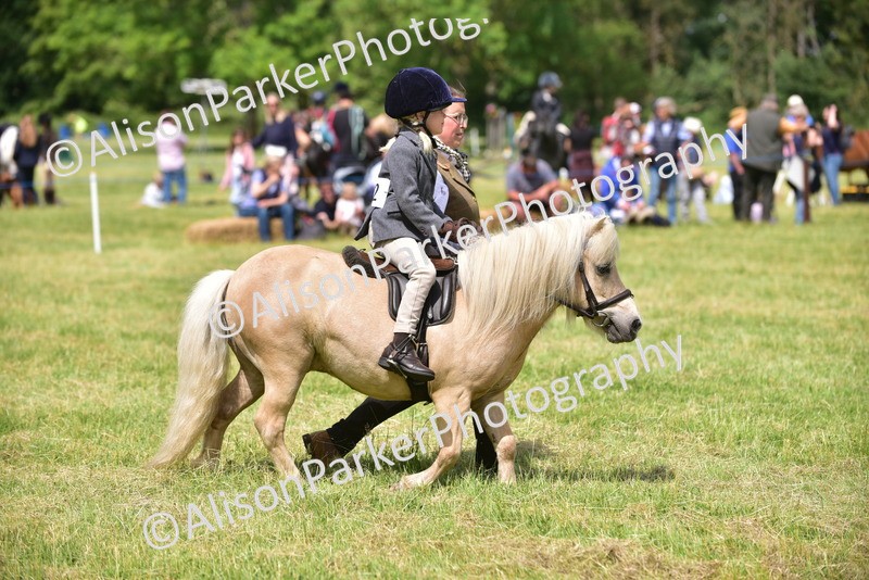 20260614-1278 - Class 11a - Lead Rein Pony (Unplaited)