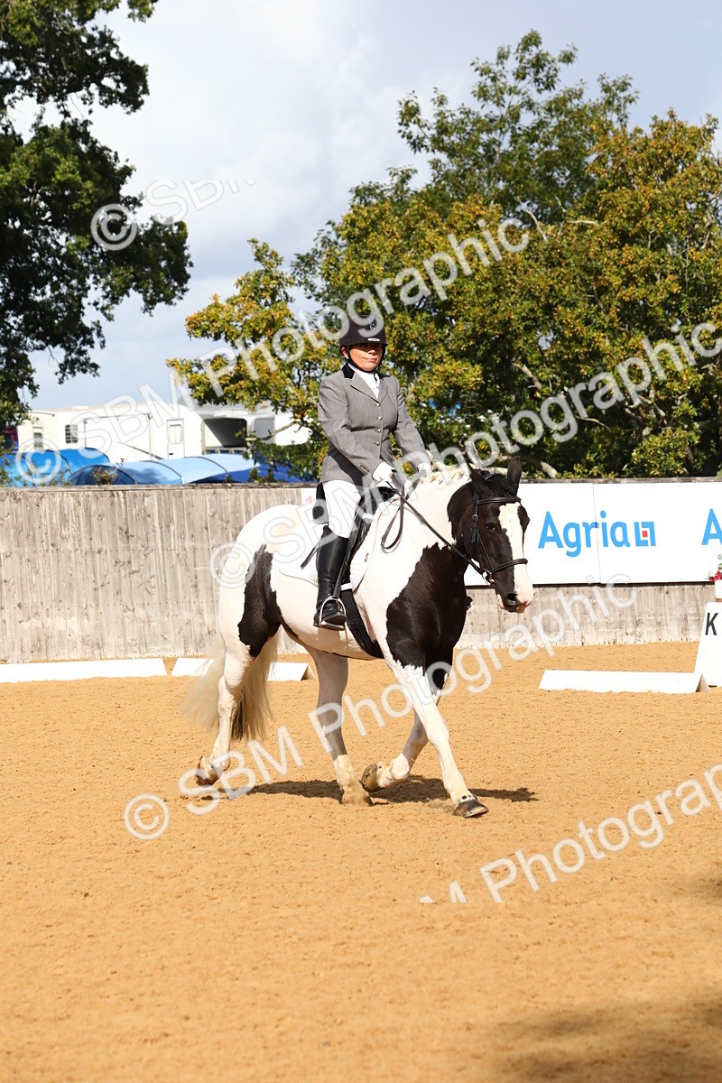 SBM_18274 - D31 - Grand Tour PYO Open .