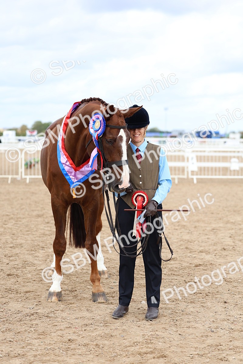 SBM_03988 - Class 25 - IH Foreign Breeds - Pure Bred