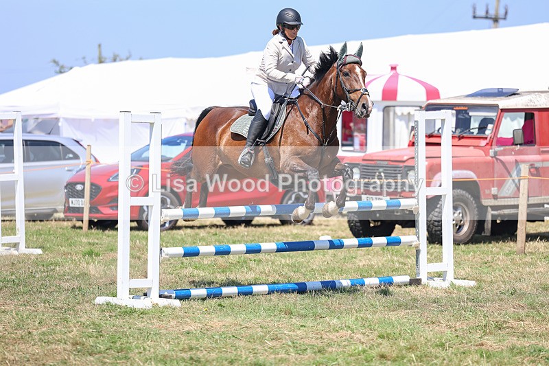 3E7A4343 - Class 10: Senior British Novice/90cm open