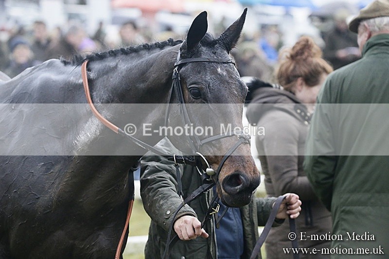 PtP 031217 797 - Hursley Hambledon Point-to-Point Larkhill 03/12/17