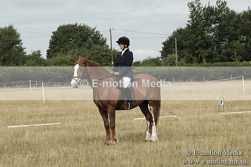 _PJP5616 - Dressage Classes BVRC Show 2018