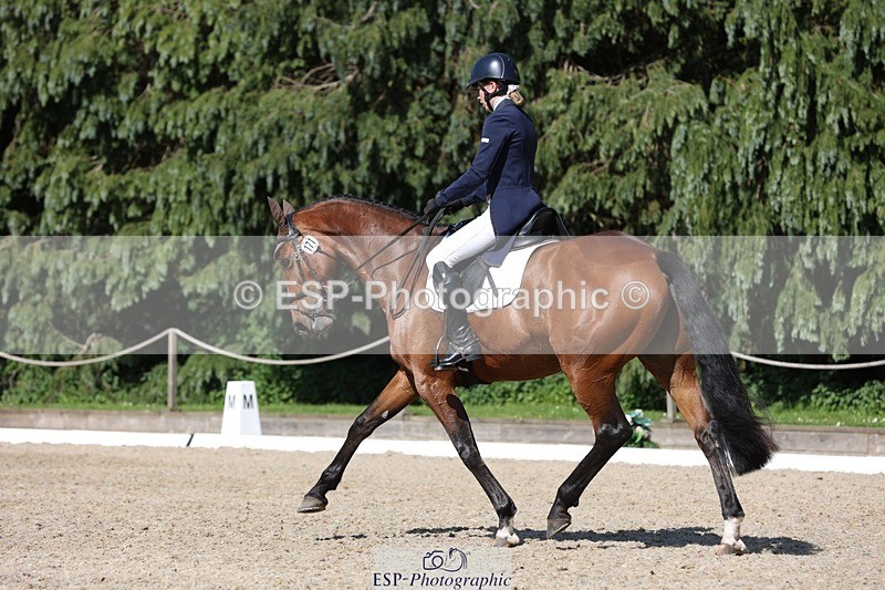 230526-162454-07816 - 171-SLANEYSIDE_COOLEY-Lara_Chapple-WEDTrotUp+DR