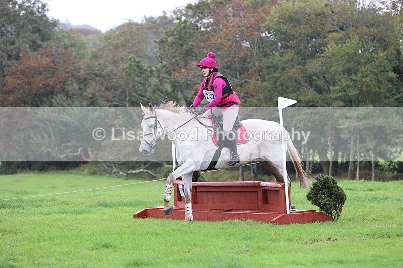 JPP_5202 - Class 2:  70cm: Zig Zag