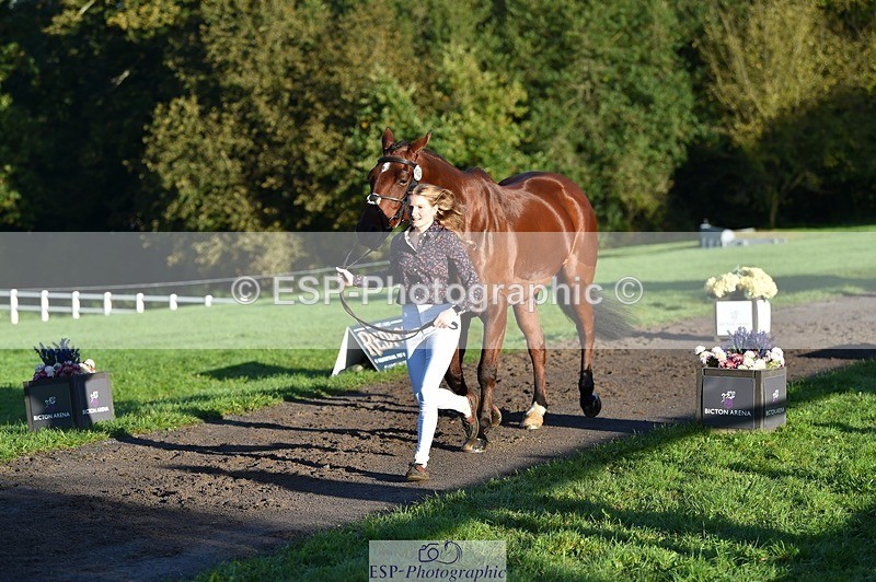 231022-091708-21669 - 620-PENOLVA.HIGH.HOPES-Elizabeth.Payne-TrotUp+SJ