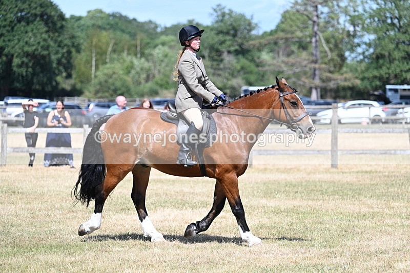 WJ7_3476 - Class 8 Ridden Veterans