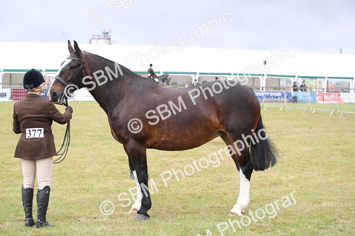 SBM_11267 - Class 92-93 - LIHS BSHA Rising Star Cobs