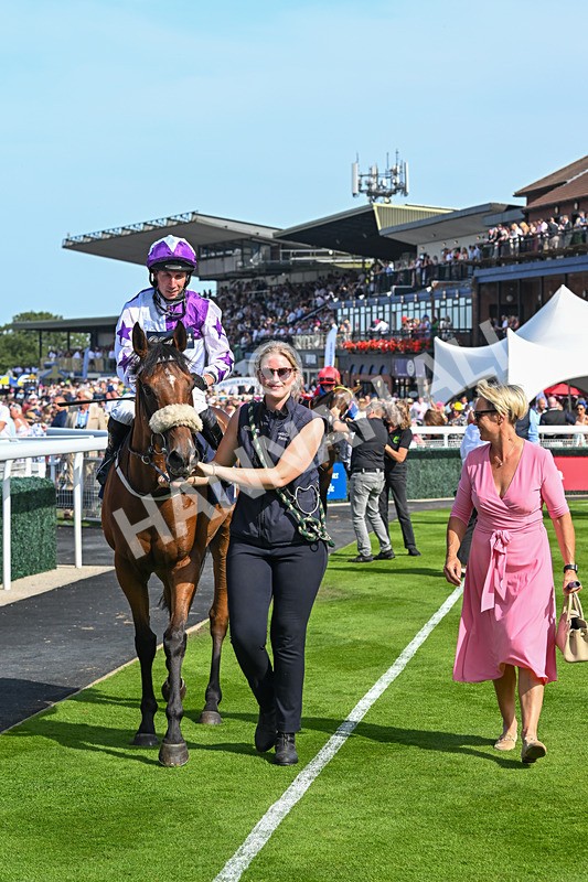 130825-Race 4-Dumfries-8660 - Race 4