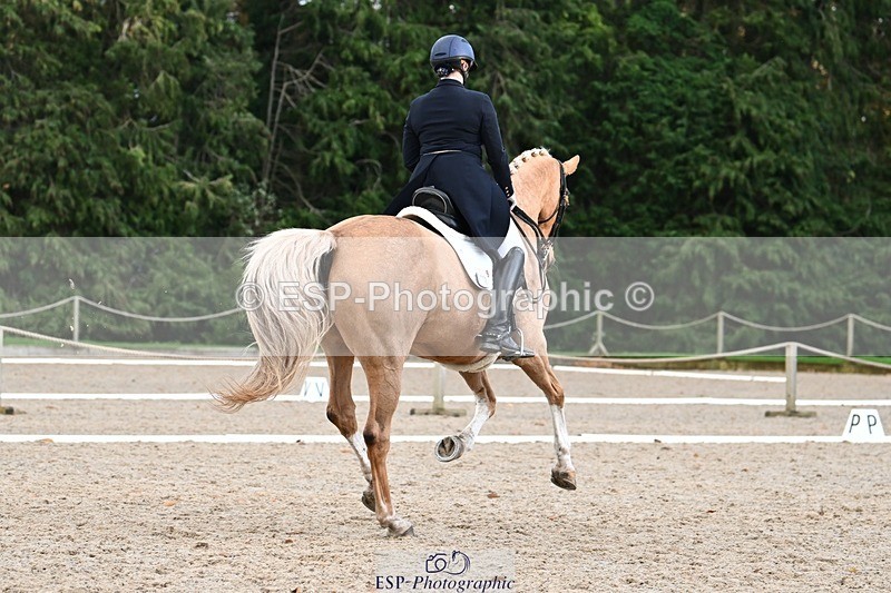 231110-153425-02238 - Cls 11 FEI PSG