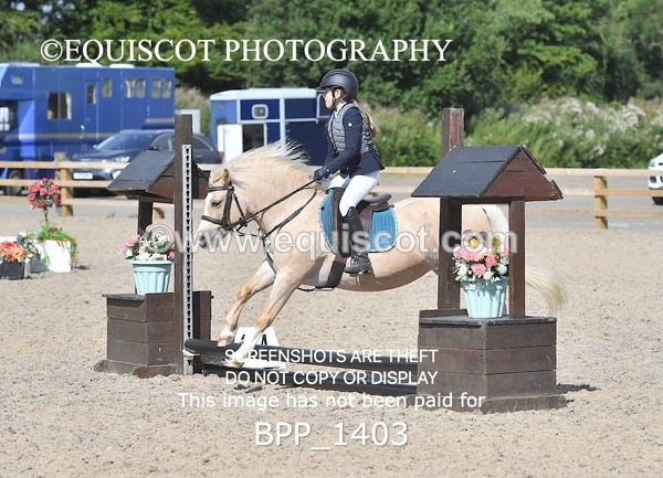 BPP_1403 - DERBY CLASS 2 - 30CM