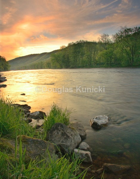 Allegheny River - Allegheny National Forest