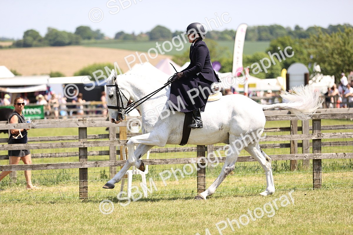 SBM_15105 - Class 79-80 - LIHS BSHA Rising Star Ridden Hunter