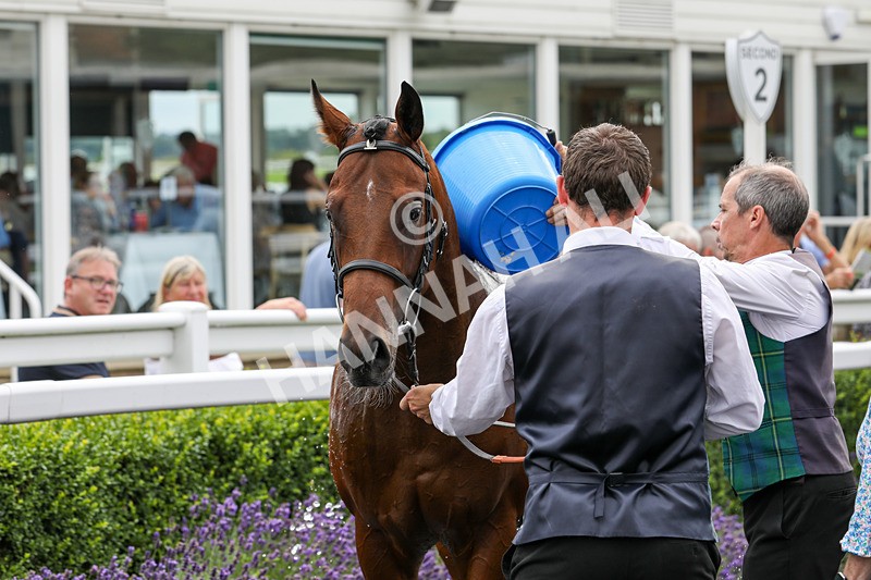 240724-Race 2-Chuti Manika-3383 - Race 2