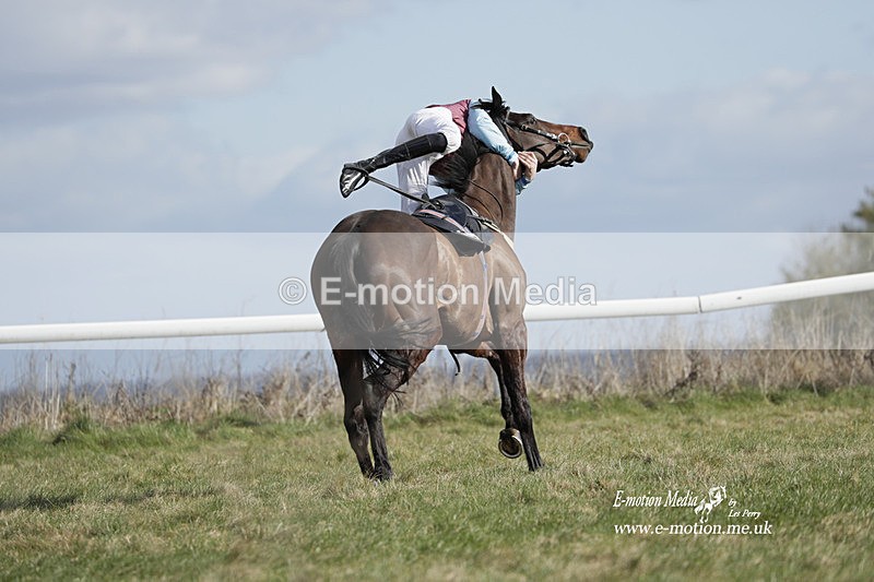 PtP 260223 515 - South & West Wilts Point-to-Point Larkhill 26/02/23