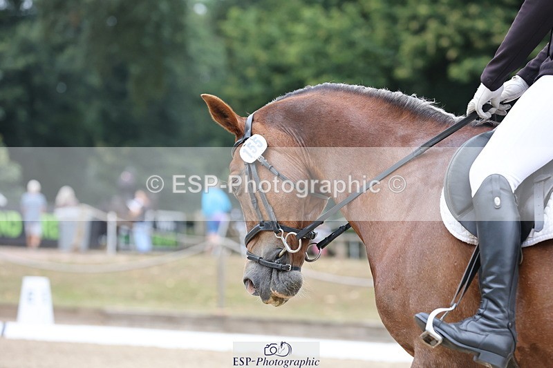 250718A-101953-00529 - 155-Charlotte.Radley-Brohedydd.Marian