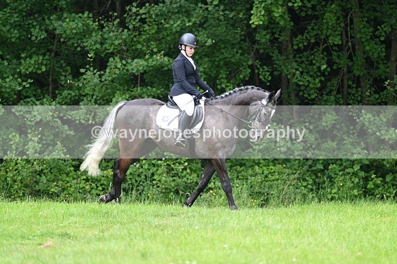 WJ7_2026 - Class 12A Coloured Class