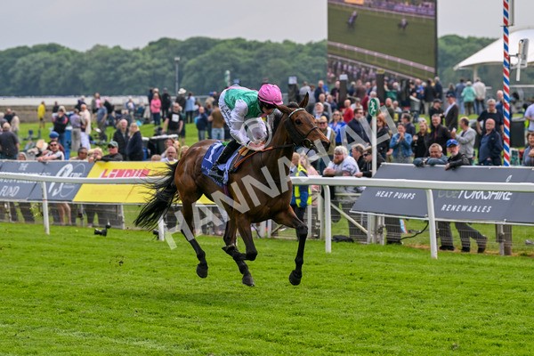 160524-Race 3-Bluestocking-5650 - Race 3 3.15pm  Al Basti Equiworld Dubai Middleton Fillies' Stakes