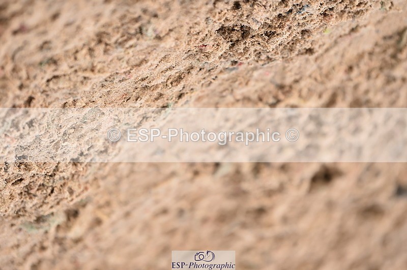 231029A-113726-03091 - Pony Newcomers & 1m Open