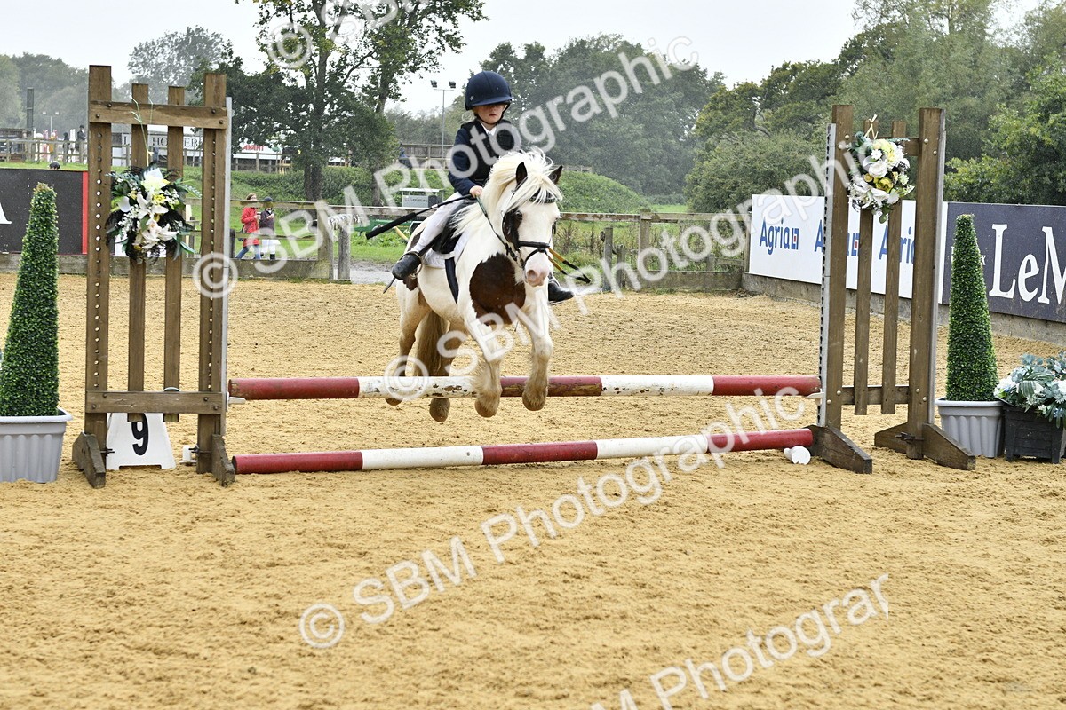 SBM_70925 - J3 - Mini Tour Junior Pony 40cm championship