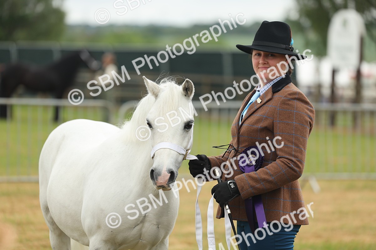 SBM_01650 - Class 50-57 - M&M Welsh Pony In Hand
