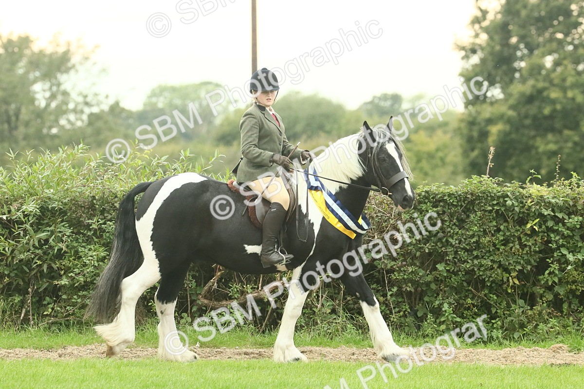 SBM_75140 - Super Supreme Championship