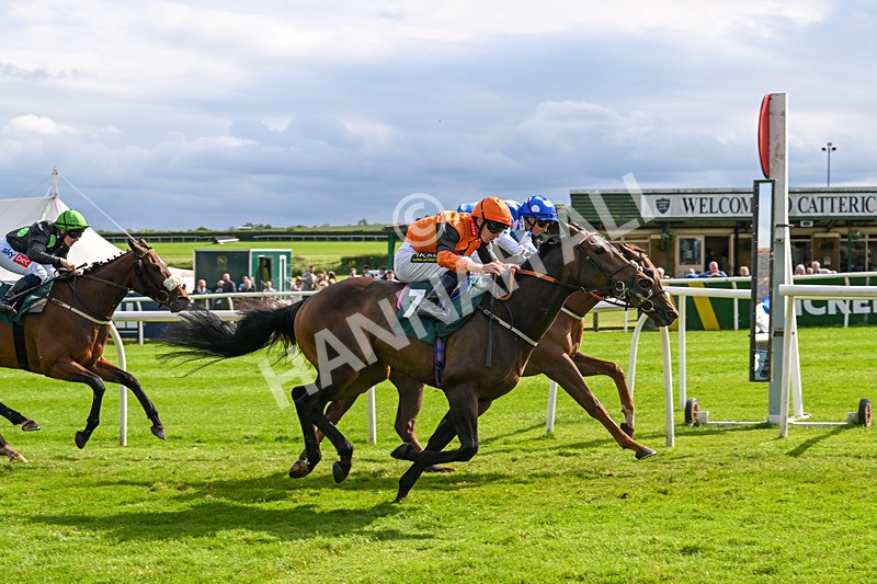 180624-Race 5-Sea The Dream-0591 - Race 5