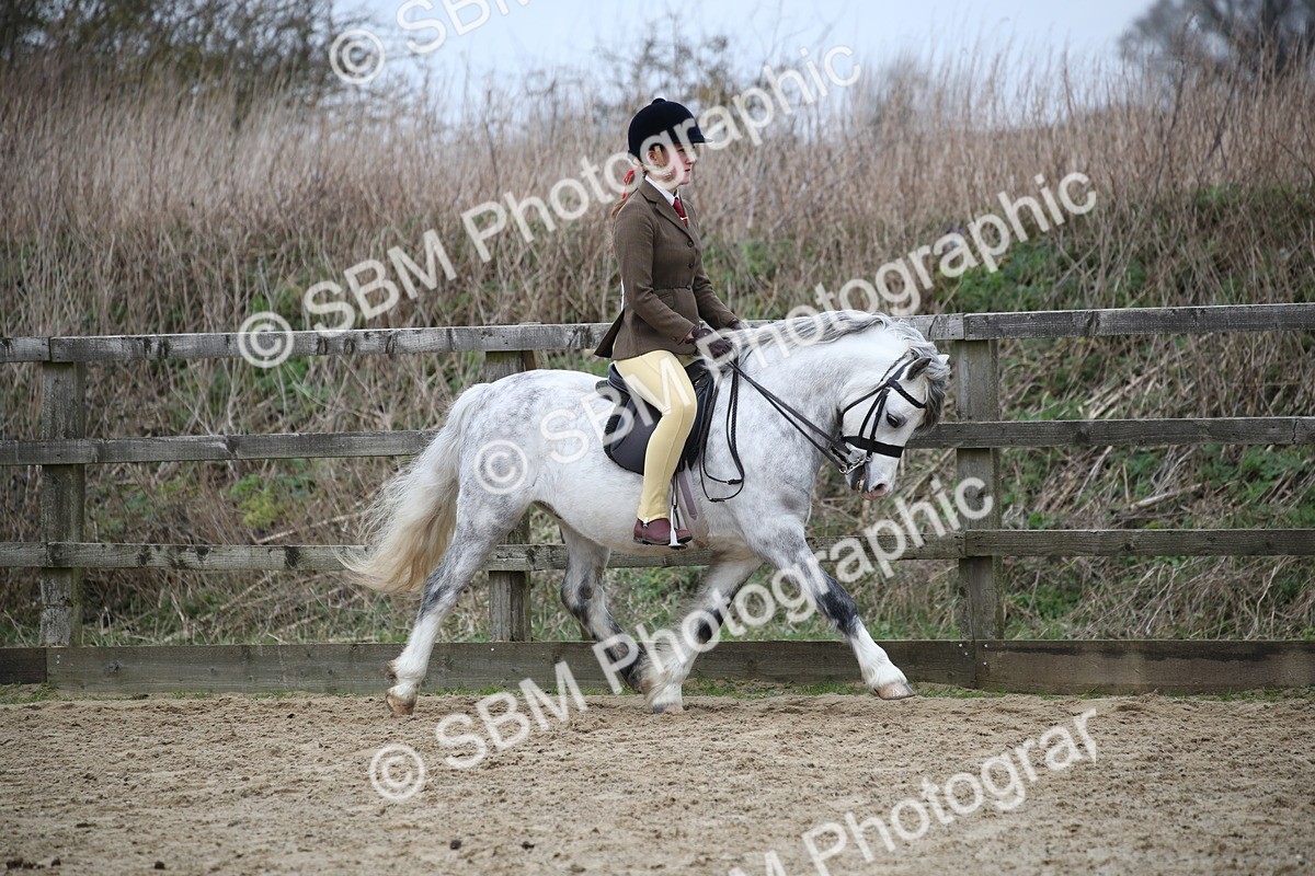 SBM_006313 - Class 10-13 - RIHS Small Large Breeds