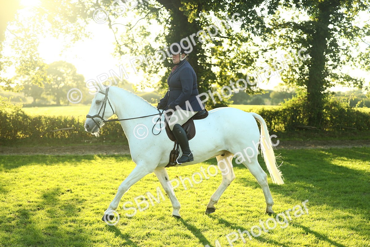 SBM_56431 - S14 - Riding Club Horse