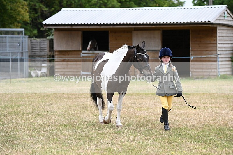 WJ6_4340 - Class 10 Coloured In-hand