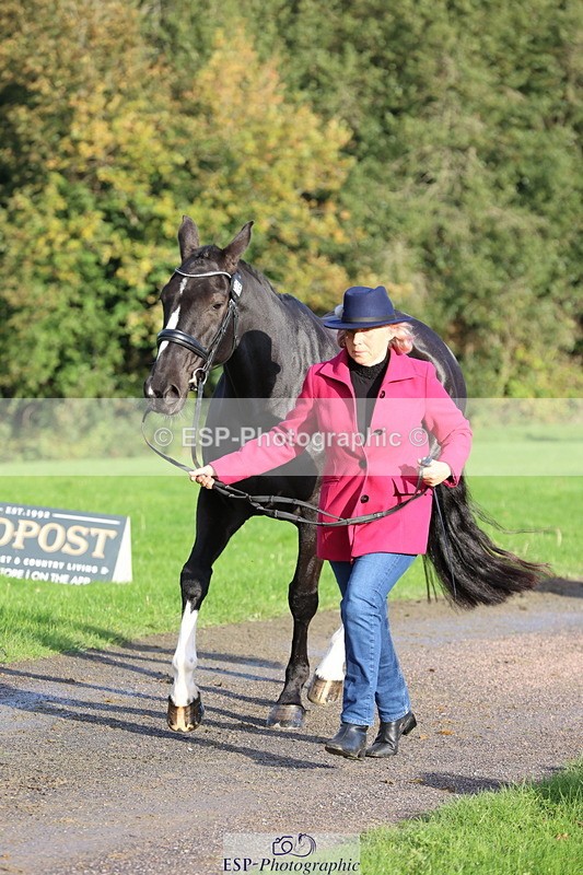 251026A-095341-22559 - D-315-Georgina.Marks