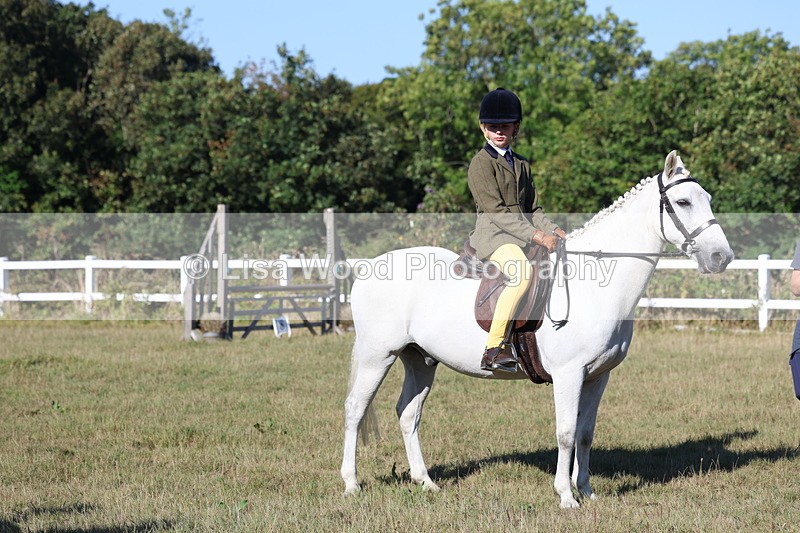 3E7A5363 - Class 2: Working Hunter 60cm