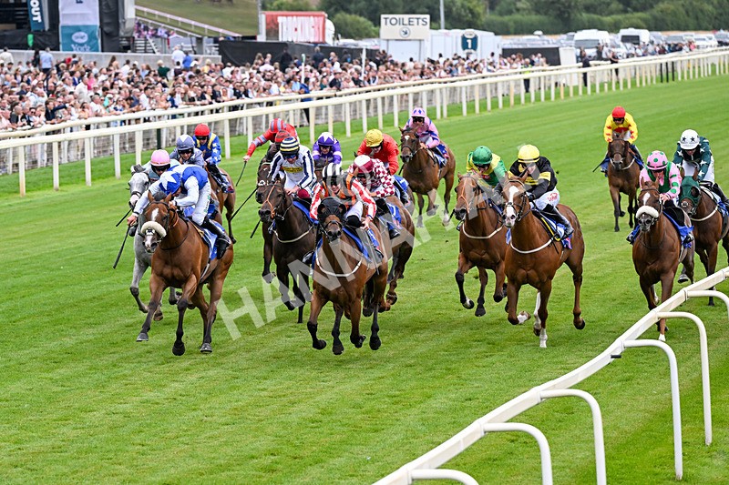 250726-Race 1-Kodiac Thriller-0529 - Race 1 13.30pm Sky Bet 'Jump Jockeys' Nunthorpe' Handicap