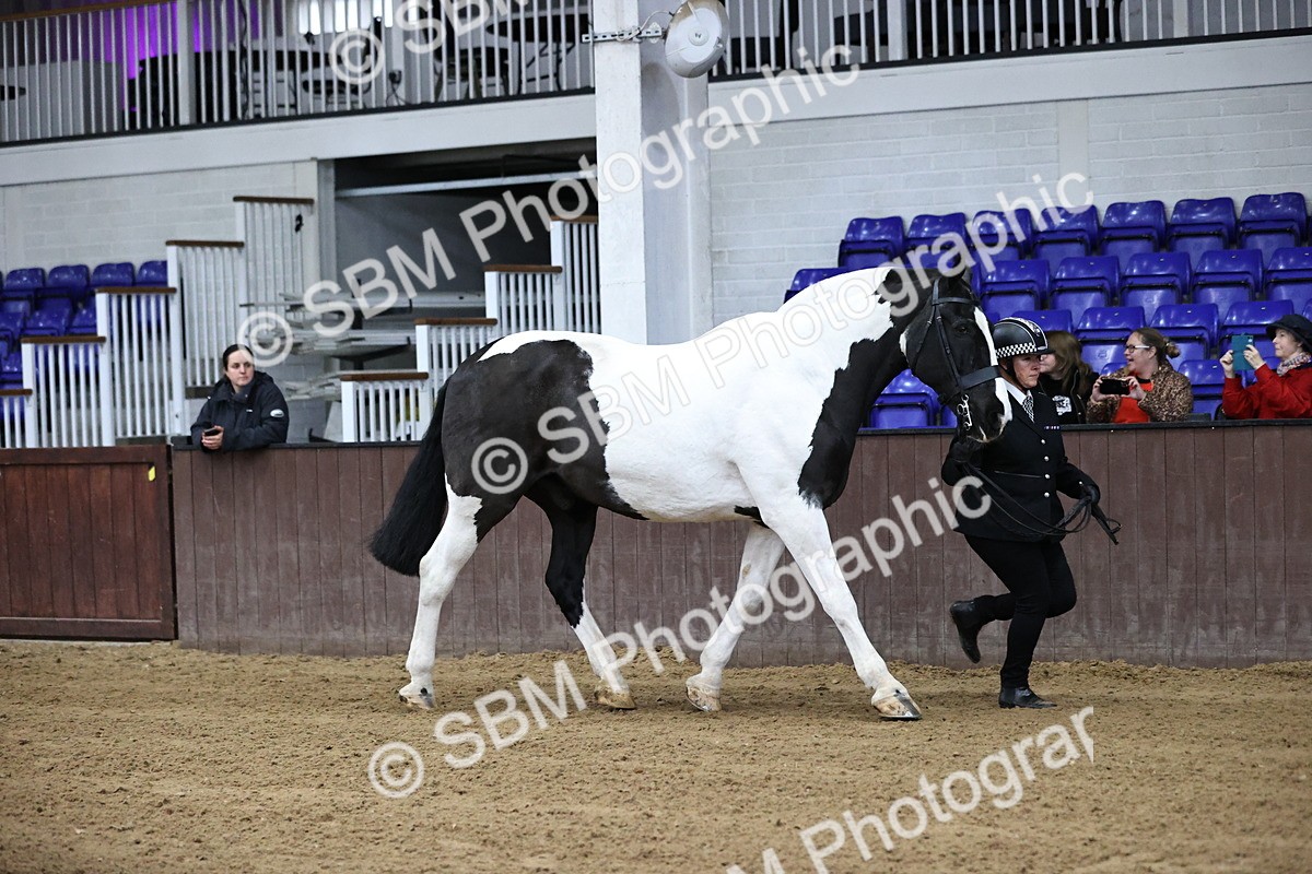 SBM_5248 - Class 32 - In Hand Cob Type