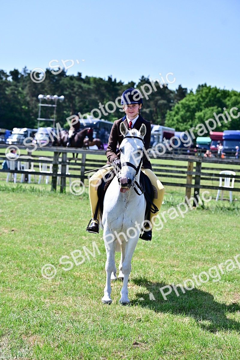 SBM_14009 - Class 95-97 - BSPS LHS Performance Ponies