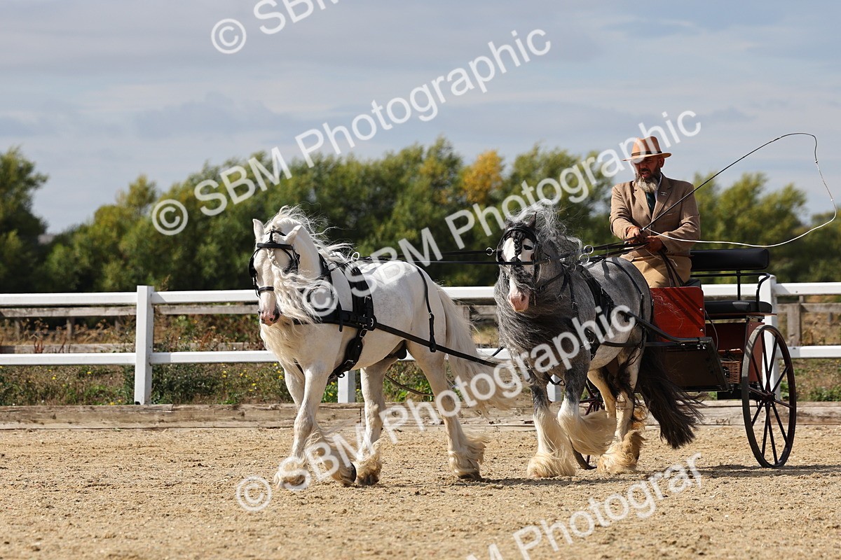 SBM_001229 - Class 16 - Pairs ,Multiples and Tandems