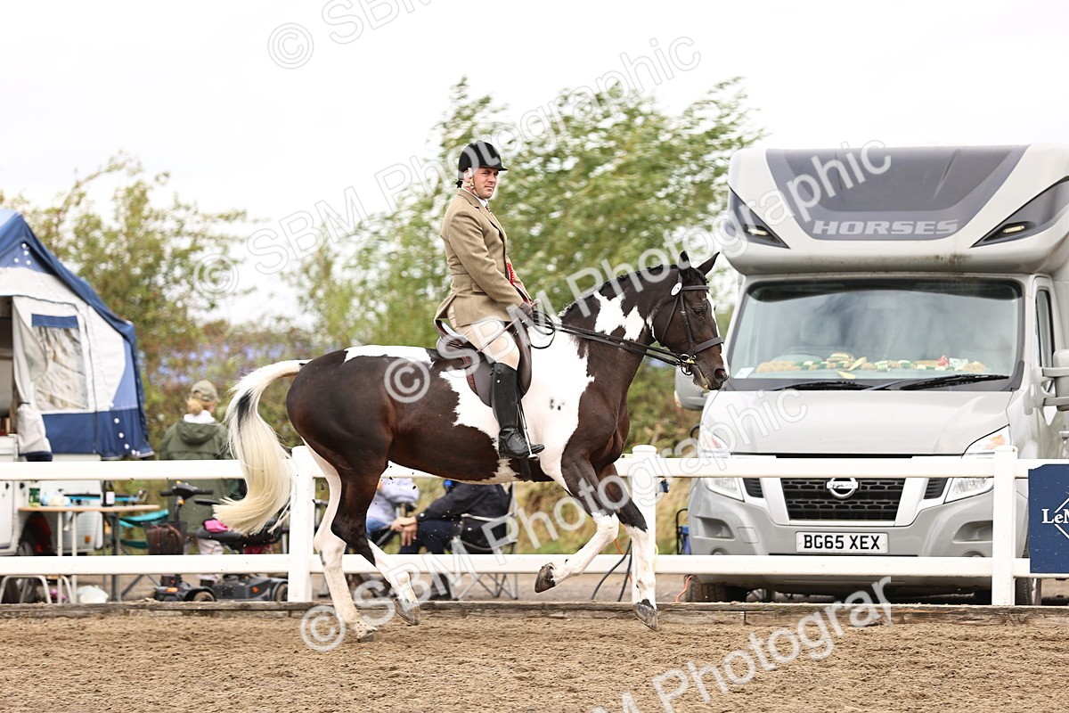 SBM_01455 - Class 54 - Riding Club Horse Pony