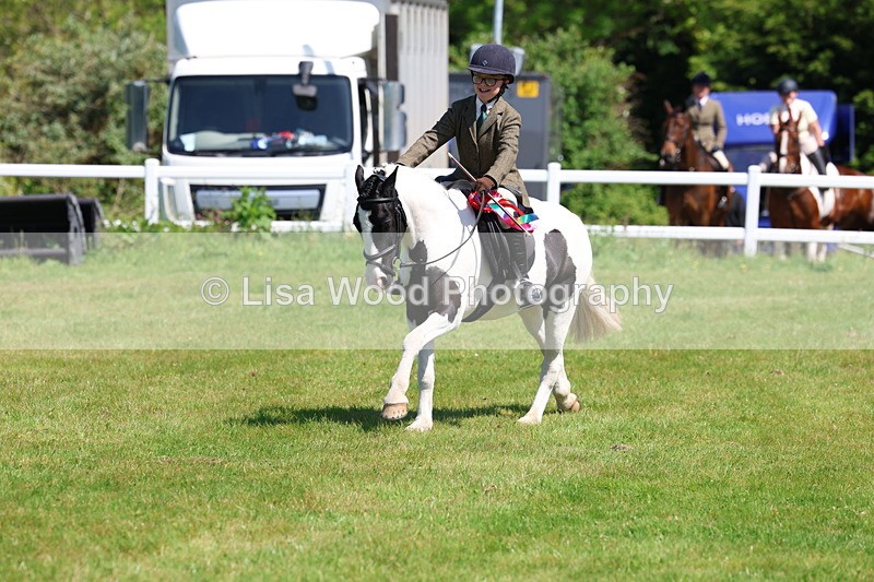 3E7A6790 - Working Hunter Pony Championship